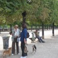 My first weeks in France, I had this reoccurring (and curious) thought: that somehow all the Parisians I saw in my daily comings and goings were TOO French. French to...
