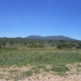 I finally arrived in Namibia on Wednesday from South Africa and I love every minute of being here.  When our flight landed, we exited the plane and it smelled like...