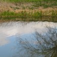 Misc. England As my time abroad is quickly drawing to a close, I’ve taken several shorter trips around England that have only taken at most a day. I chose one of the...