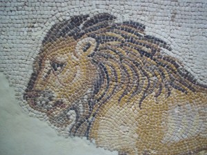 Part of a mosaic that used to be part of the street during the time when the Roman Empire ruled Zaragoza. My favorite piece in the Museo de Zaragoza.