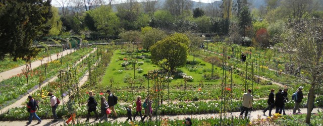 Just as spring finally made its way to Paris, my program and I spent a little time enjoying the sun in Giverny, France where we visited Claude Monet’s house and...