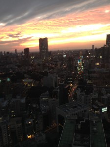 Sunset from the lower observation deck at Tokyo Tower