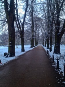 Snow in the park on the way to Anglia Ruskin 