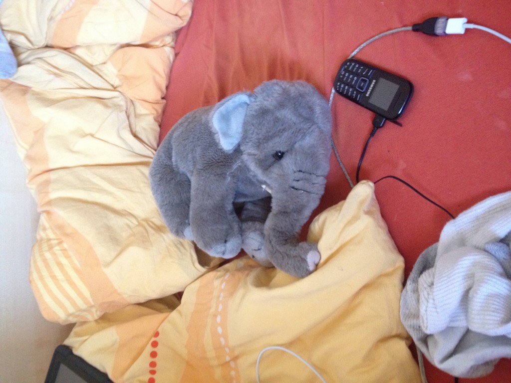 Though the socks and the phone aren't particularly special to me, I use them almost as often as the elephant. Peanut, by the way, is it's name. Of course it has a name. Because I'm grown up, I now get to decide what that means. If you're reading this, that statement applies to you too. 