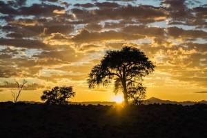 Sunset over the Namib Desert