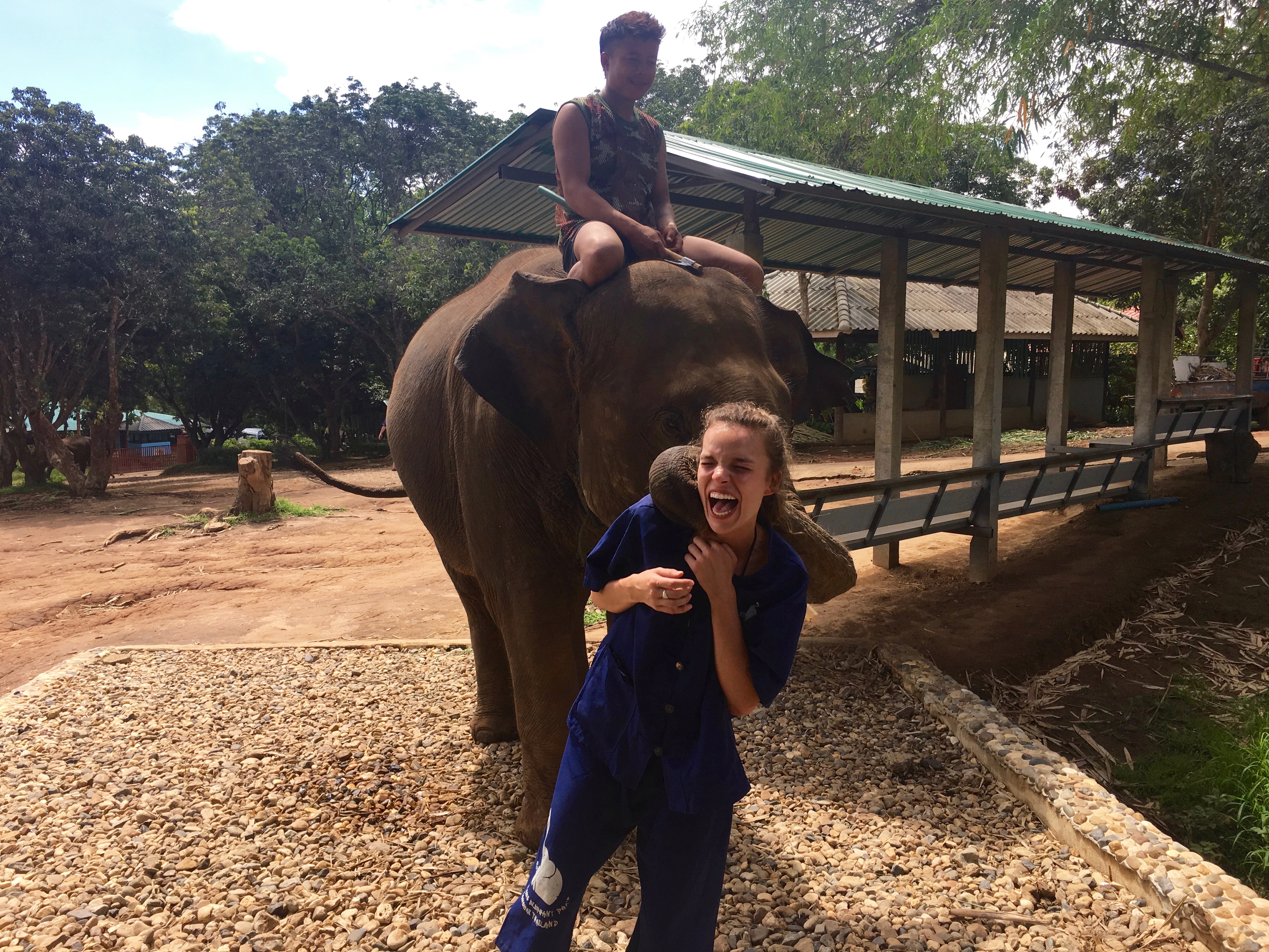 Ellie and Elephant