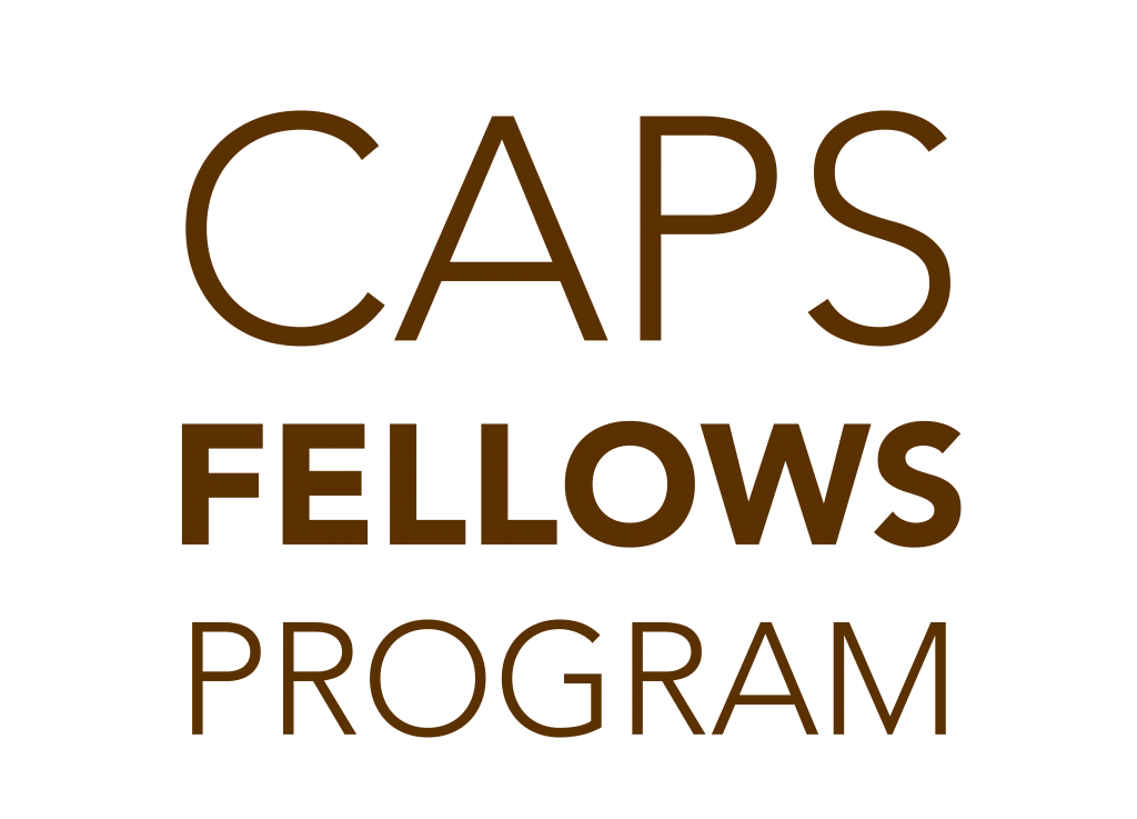 About the CAPS Fellows Program Institute for Leadership and Service Blog