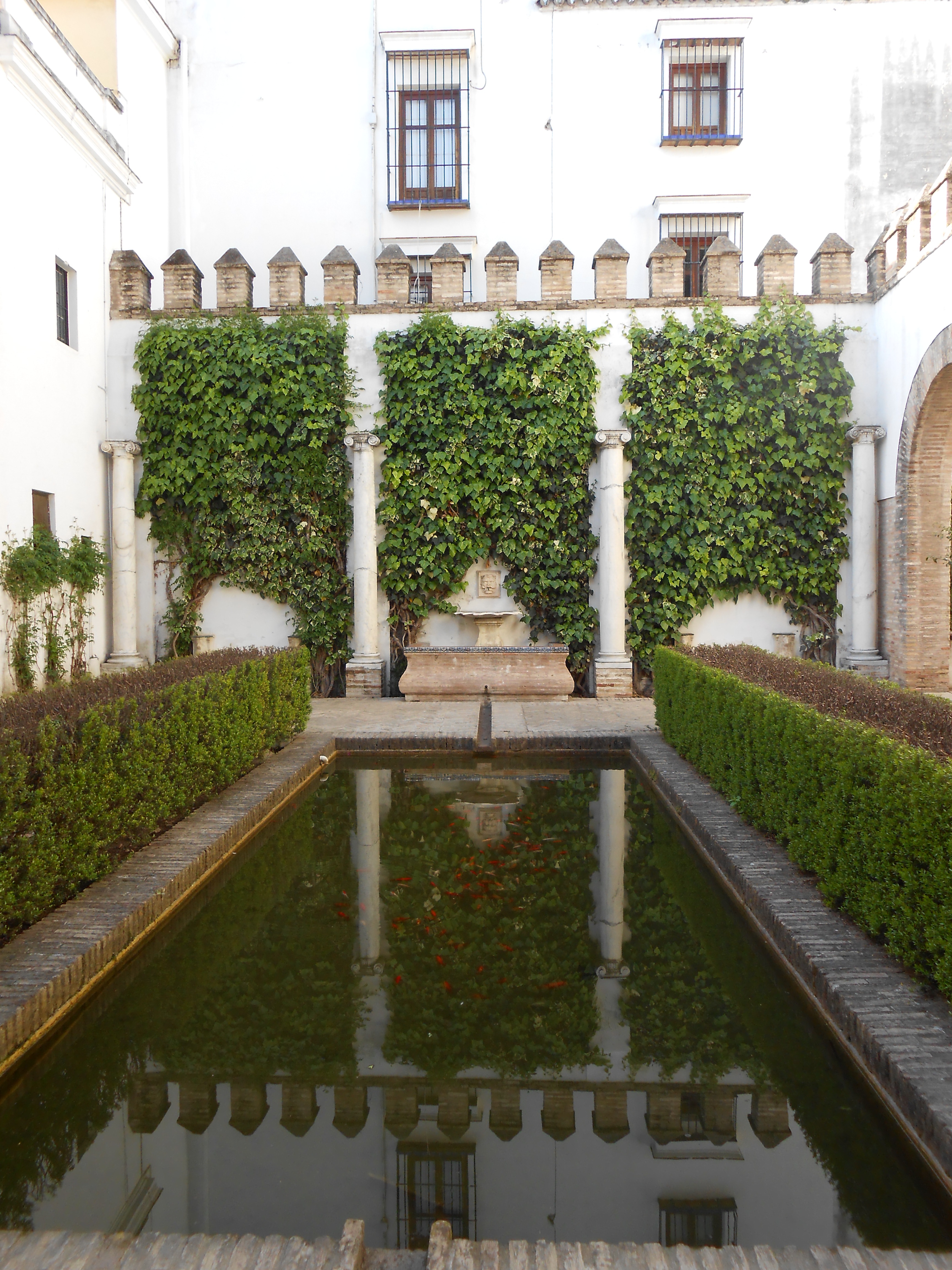 One of the many patios within the Real Alcazar. See the fishies in the reflection pool?