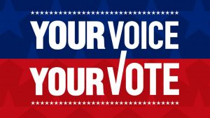 your-vote-your-voice