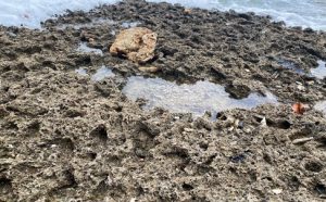 Rock formation on coast of Caribbean Sea