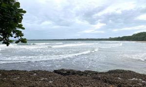 Waves washing up on beach in Limon