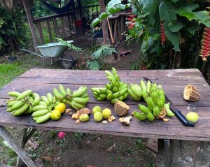 Table with various fruits laid out